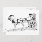 Carte Postale Panier de chèvre avec chien berger et fleurs (Devant / Derrière)