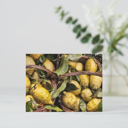 Carte Postale Panier de citron Amalfi (Debout devant)