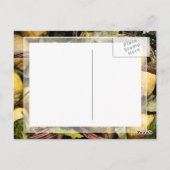 Carte Postale Panier de citron Amalfi (Dos)