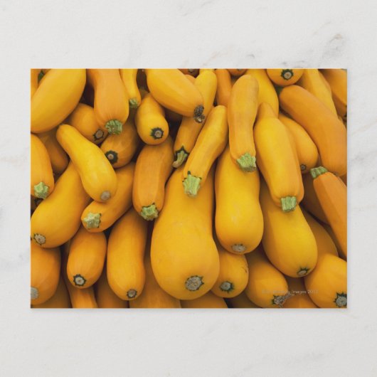 Carte Postale Panier de courgette jaune (Devant)