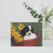 Carte Postale Panier de marionnettes (Debout devant)