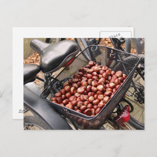 Carte Postale Panier de Noix (Devant / Derrière)