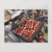 Carte Postale Panier de Noix (Devant)