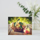 Carte Postale Panier de pommes (Debout devant)