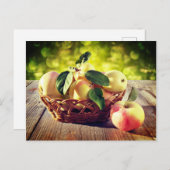 Carte Postale Panier de pommes (Devant / Derrière)