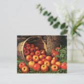 Carte Postale Panier de pommes (Debout devant)