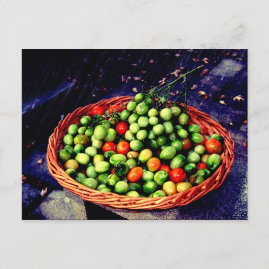 Carte Postale Panier de tomates (Devant)