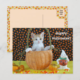 Carte Postale Panier d'Halloween d'Annie /Kitten