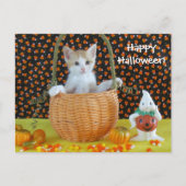 Carte Postale Panier d'Halloween d'Annie /Kitten (Devant)