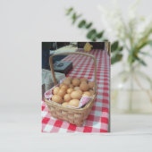 Carte Postale Panier d'oeufs (Debout devant)