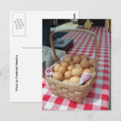 Carte Postale Panier d'oeufs (Devant / Derrière)