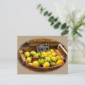 Carte Postale Panier en osier de citrons italiens au marché (Debout devant)