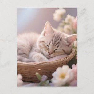 Carte Postale Panier floral de chaton endormi rêveur