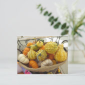 Carte Postale Panier gourd (Debout devant)