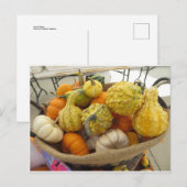 Carte Postale Panier gourd (Devant / Derrière)