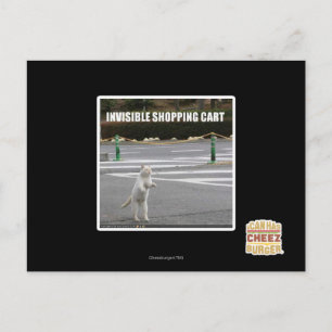 CARTE POSTALE PANIER INVISIBLE