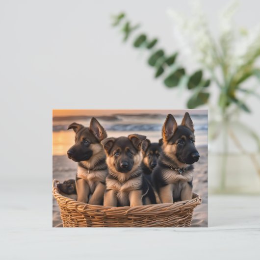 Carte Postale Panier rempli de chiots allemands (Debout devant)