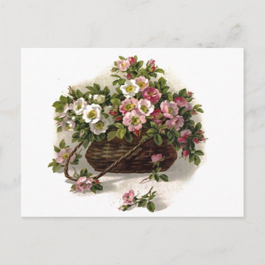 Carte Postale Panier Rose sauvage vintage (Devant)