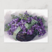 Carte Postale Panier Violets vintages (Devant)