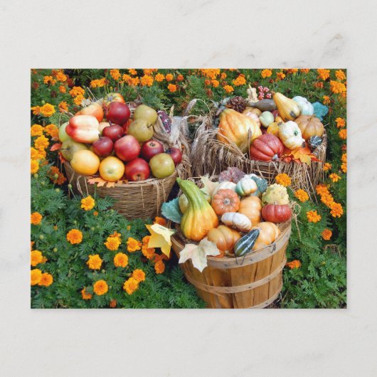 Carte Postale Paniers de fruits et légumes d'automne (Devant)