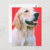 Carte Postale Panne de l'extracteur (Devant / Derrière)