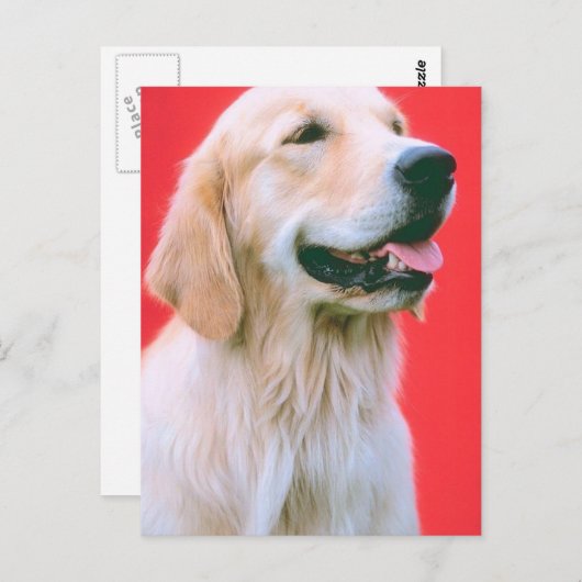 Carte Postale Panne de l'extracteur (Devant / Derrière)