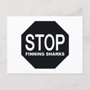 Carte Postale Panneau Arrêter la recherche de requins