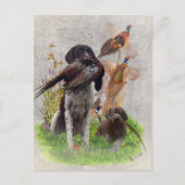 Carte Postale Panneau Boîte en bois pour pointeurs germains (GSP (Devant)