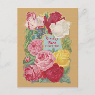 Carte Postale Panneau Boutique Vintage Rose