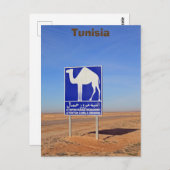 Carte Postale Panneau de chameaux, Tunisie (Devant / Derrière)