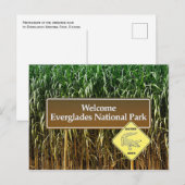 Carte Postale Panneau du Parc national des Everglades, Traversée (Devant / Derrière)