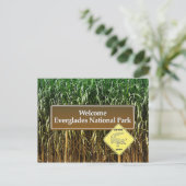 Carte Postale Panneau du Parc national des Everglades, Traversée (Debout devant)