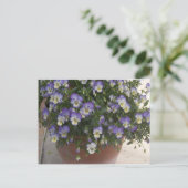 Carte Postale panneaux (Debout devant)