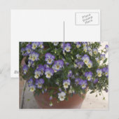 Carte Postale panneaux (Devant / Derrière)