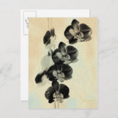 Carte Postale Panneaux bleus orchidées III (Devant / Derrière)