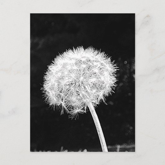 Carte Postale Panneaux de flux de fleur de Dandelion de l'été (Devant)