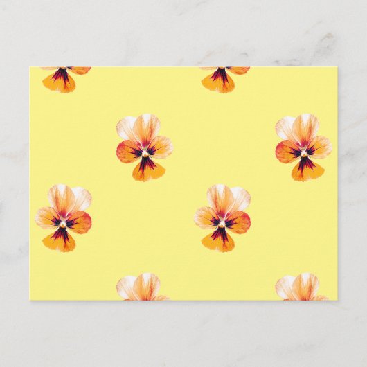 Carte Postale panneaux orange (Devant)