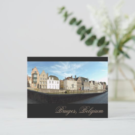 Carte Postale Panorama de Bruges (Debout devant)