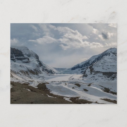 Carte Postale Panorama des champs de glace du Canada Columbia (Devant)