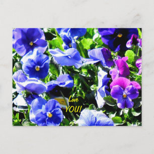 Carte Postale Pansement de Home Depot