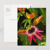 Carte Postale Panser la bromeliade rouge (Devant / Derrière)