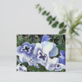 CARTE POSTALE PANSIERS (Debout devant)