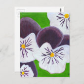 Carte Postale Pansies (Devant / Derrière)
