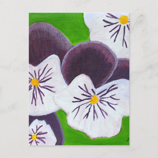 Carte Postale Pansies (Devant)