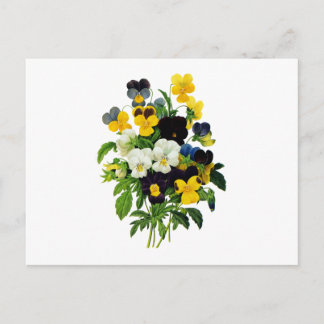 Carte Postale Pansies bleu violet et jaune par Redoute