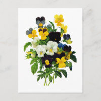 Pansies bleues et jaunes de Pierre Joseph Redoute