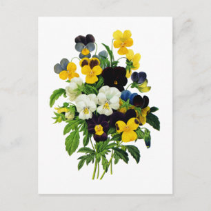 Carte Postale Pansies bleues et jaunes de Pierre Joseph Redoute