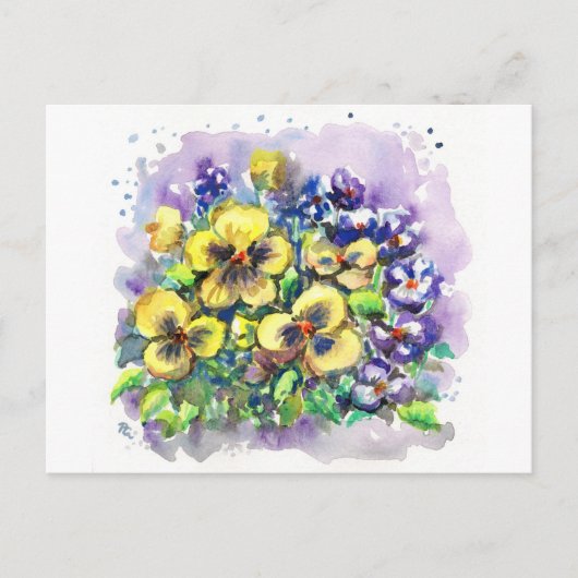 Carte Postale Pansies de ressort (Devant)