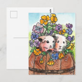 Carte Postale Pansies et amis (Devant / Derrière)
