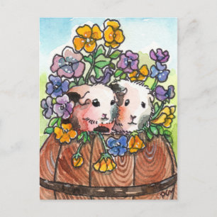 Carte Postale Pansies et amis